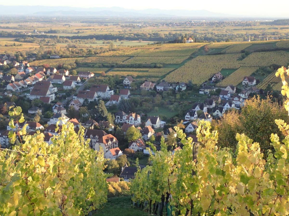 Villa/Appartement Au Coeur Des Vignes *** بارْ المظهر الخارجي الصورة
